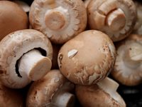 Champignons richtig einfrieren