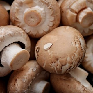 Champignons richtig einfrieren