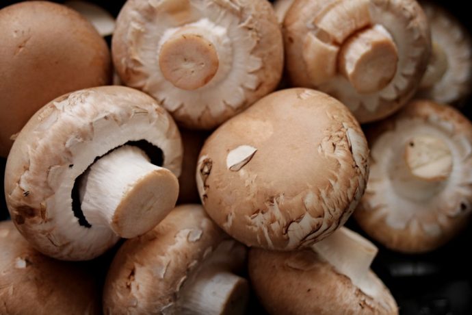 champignons-richtig-einfrieren-690x460 Champignons richtig einfrieren