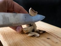 Champignons richtig schneiden