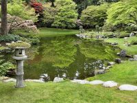 Einen wunderschönen japanischen Garten anlegen