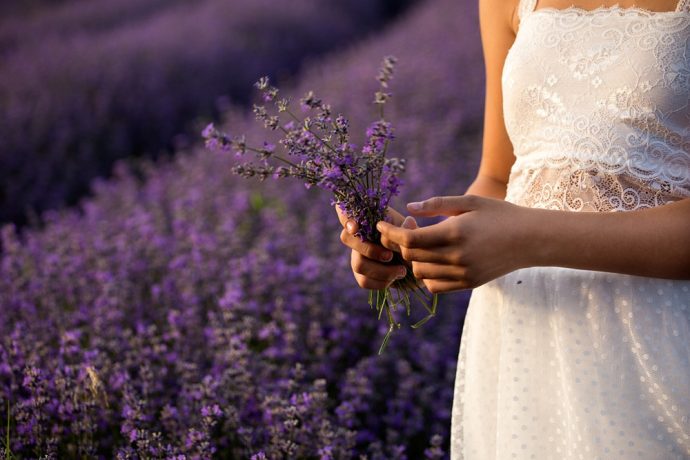 hilft-lavendel-gegen-motten-690x460 Hilft Lavendel gegen Motten?