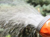 Mit der richtigen Wasserpumpe Regenwasser optimal nutzen