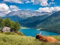 Reiseziel Graubünden - der Kanton mit drei Amtssprachen