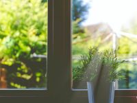 So funktioniert das Putzen der Fenster auch im Sommer