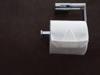 Toilettenpapierhalter: So wählst du das perfekte Modell für dein Bad