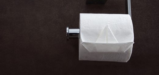 Toilettenpapierhalter: So wählst du das perfekte Modell für dein Bad