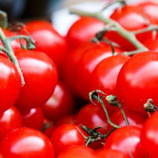 Tomaten richtig lagern