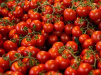 Tomatenflecken mit Hausmitteln entfernen