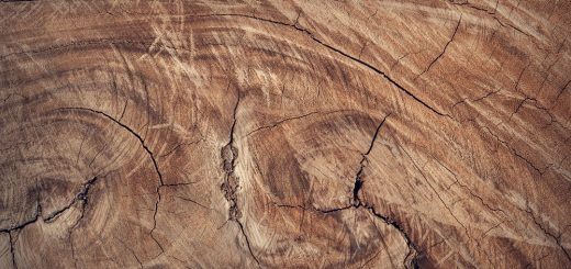 Wasserflecken auf Holz entfernen