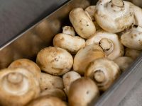 Woran erkennt man frische Champignons?