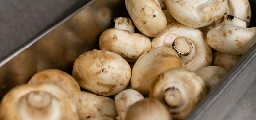 Woran erkennt man frische Champignons?